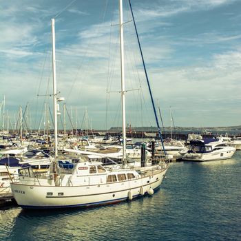 Flensburger Aussenförde Schiff mit Hund