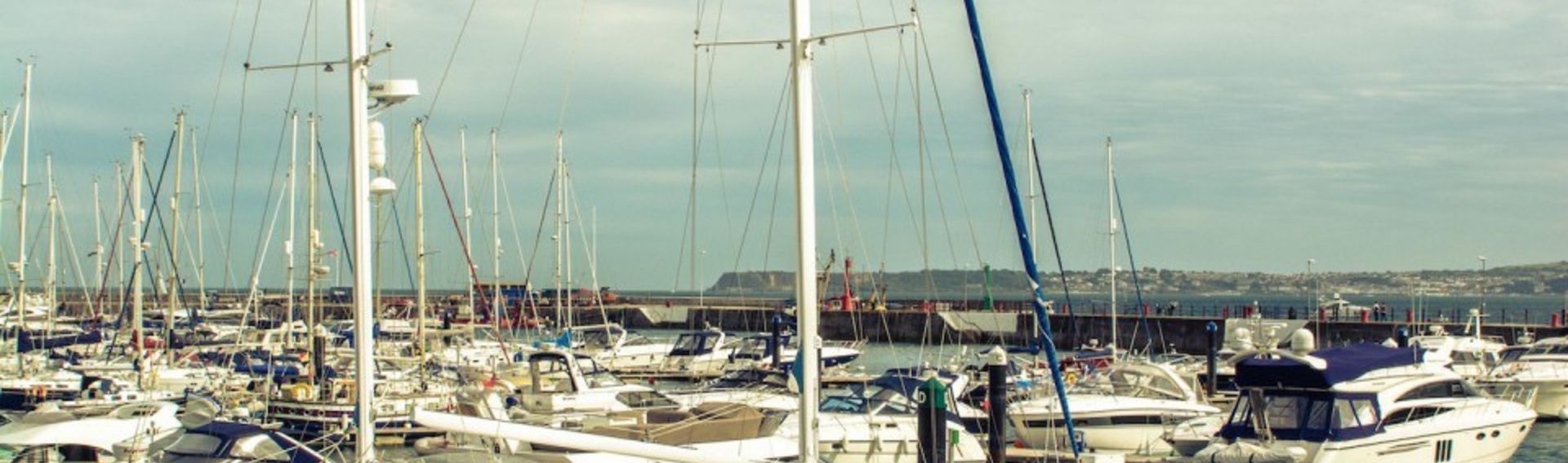 Flensburger Aussenförde Schiff mit Hund