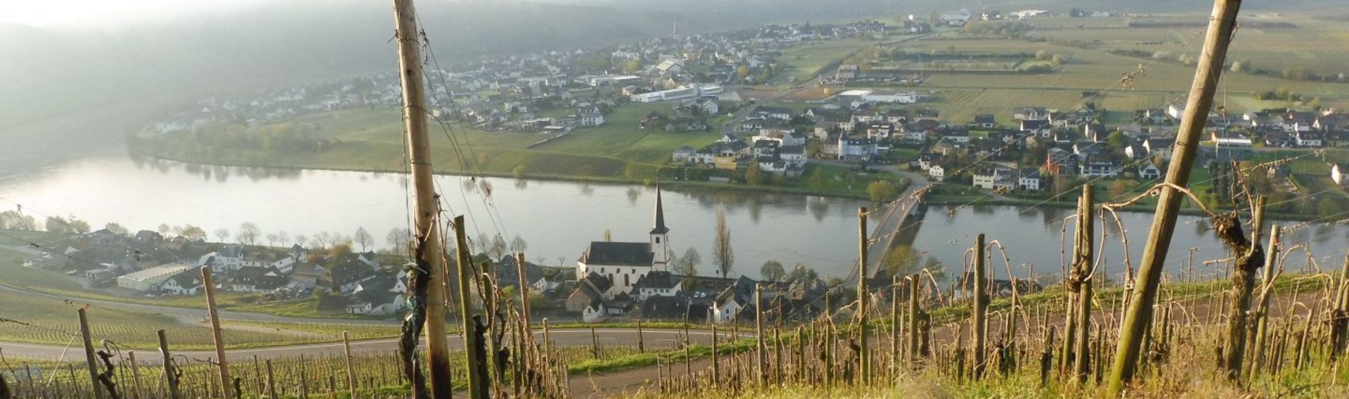 Urlaub mit Hund an der Mosel