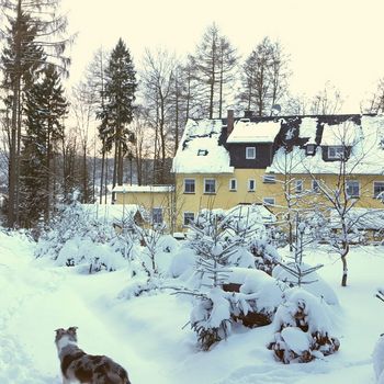 Urlaub mit Hund im Thüringer Wald