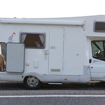 Wohnmobil mieten mit Hund