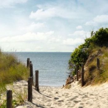 Top Ferienwohnung Sankt Peter Ording Nordseeurlaub mit Hund