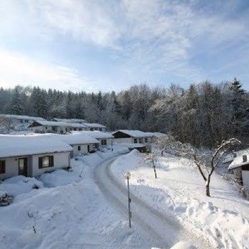 Urlaub mit Katze in Fewo bayerischen Wald