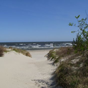 Urlaub mit kleinem Hund Usedom