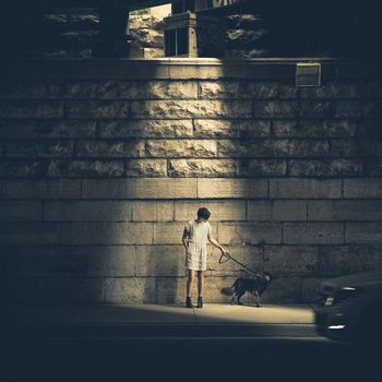 Hunde in Berlin Tempelhof