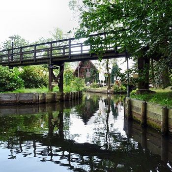 Spreewald mit Hund