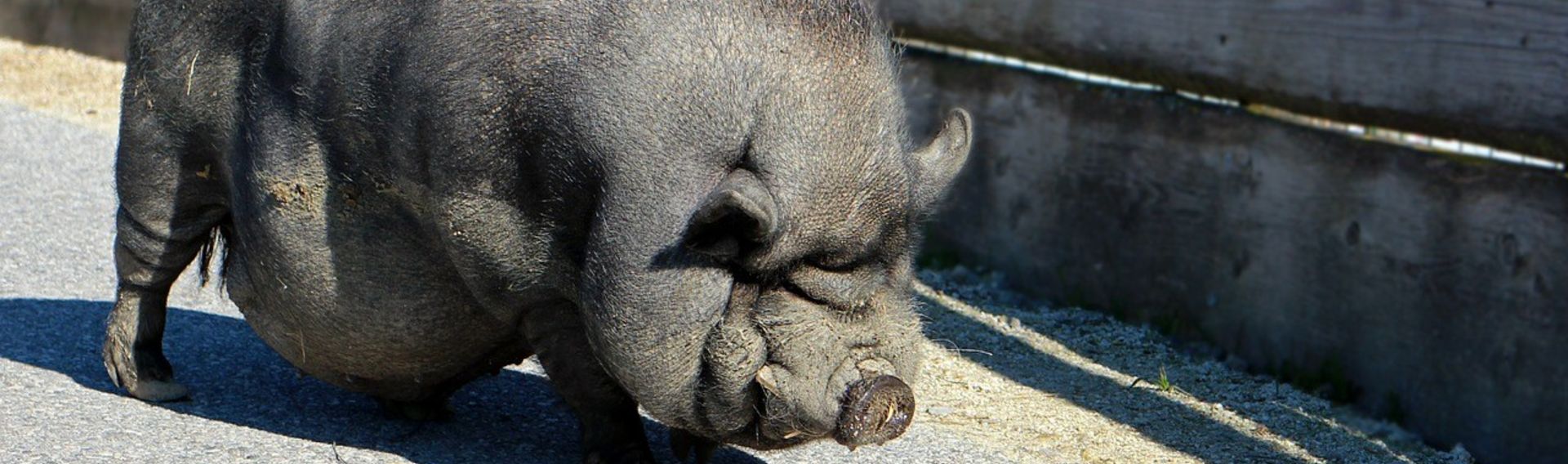 Besuch im Wildpark Tannenbusch