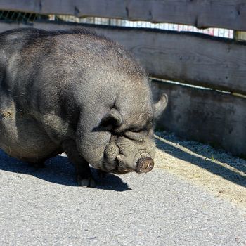 Besuch im Wildpark Tannenbusch