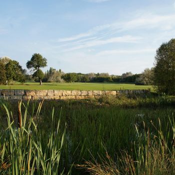 Golfen mit Hund in Bayern