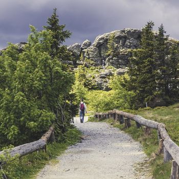 Camping Bayerischer Wald mit Hund