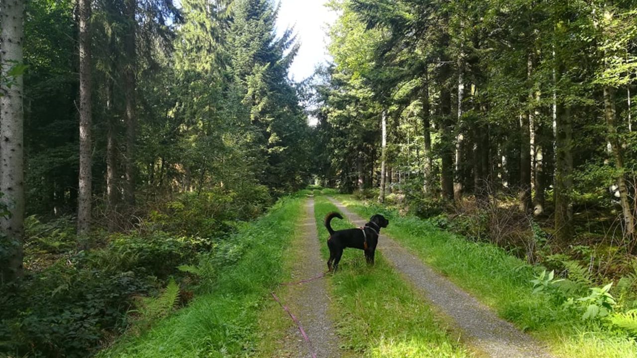 Ferienwohnung Rottweilerhuus im schönen Ostfriesland