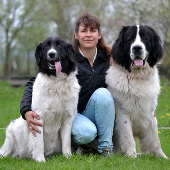 Hundeschule Ribbeckshorst