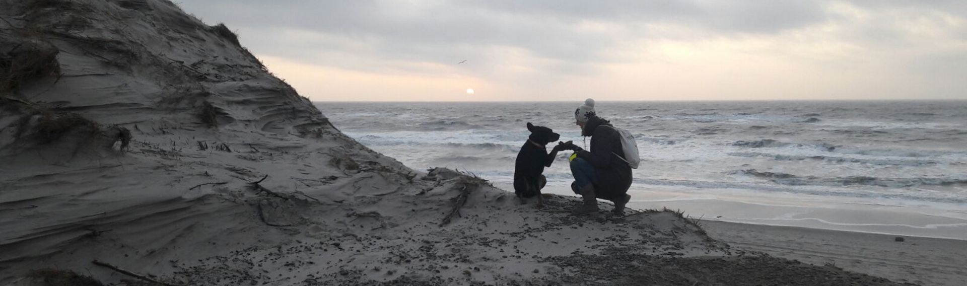 Stellplätze am Meer – Camping mit Hund