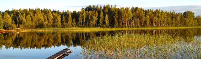 Schweden Natururlaub mit Hund