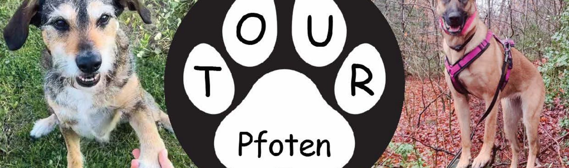 Tourpfoten - Aktivitäten mit Hund