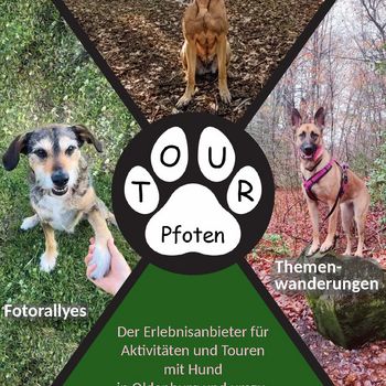 Tourpfoten - Aktivitäten mit Hund