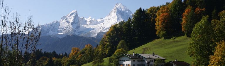 Bayern & Berge mit Hund