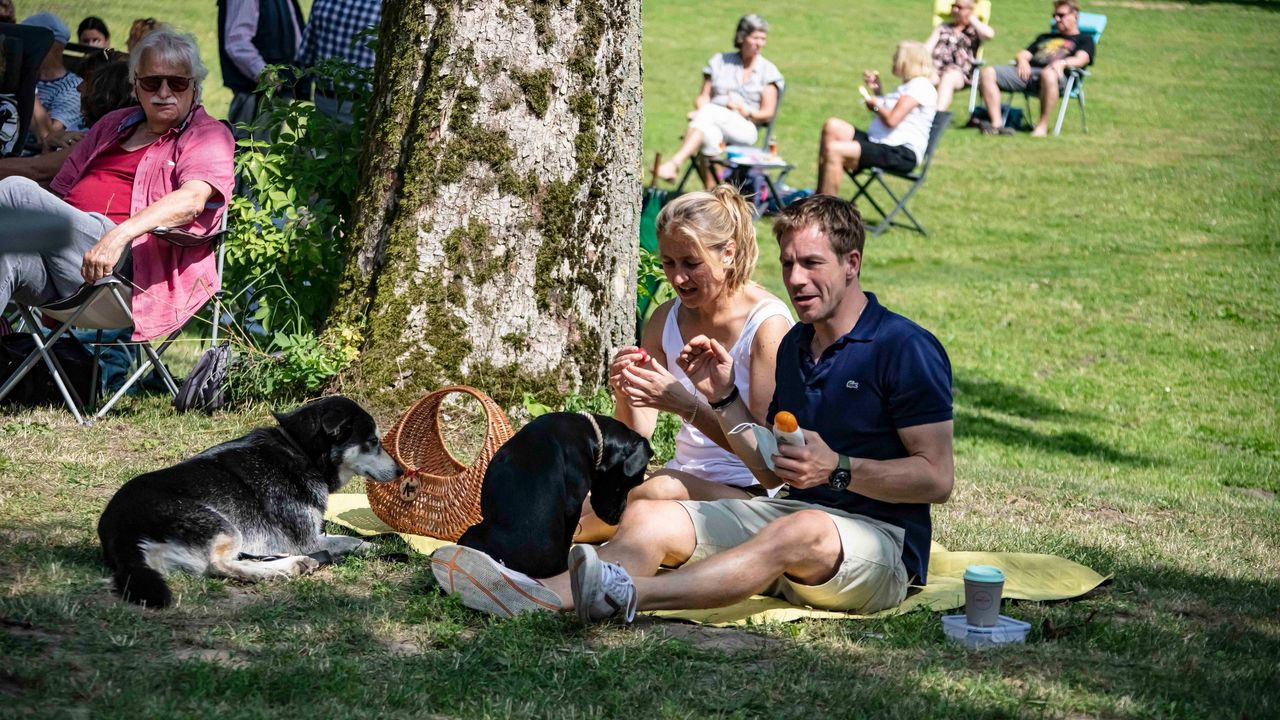 Picknick-Konzerte @ Haus Hülshoff, Tecklenburg
