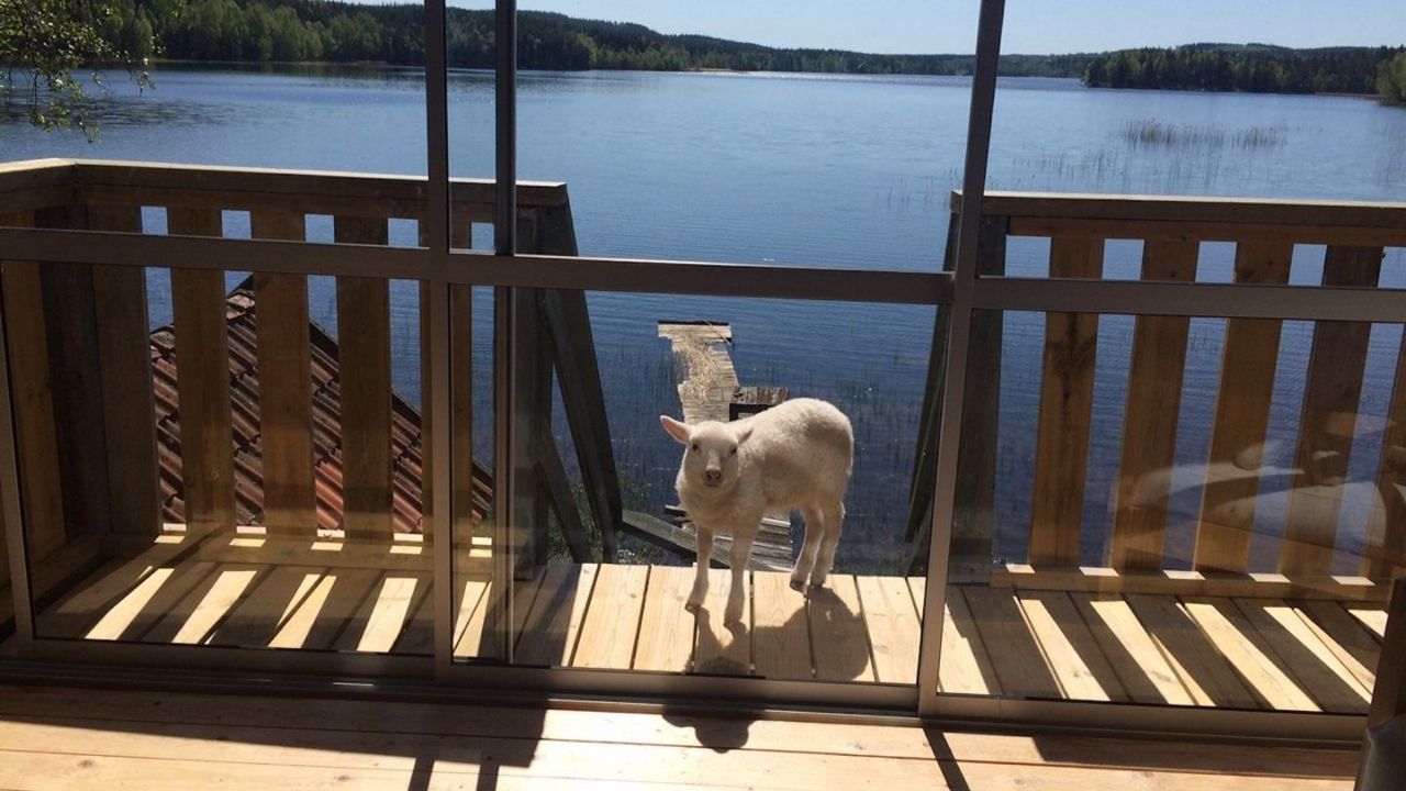Einzigartige Ferienhäuser und Hütten für Naturliebhaber in Südschweden
