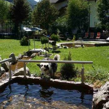 Urlaub mit Hund Südtirol