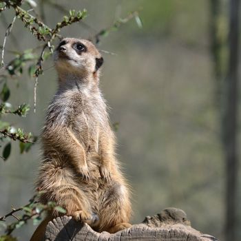 Ausflug NRW mit Kind – Tierpark Hamm