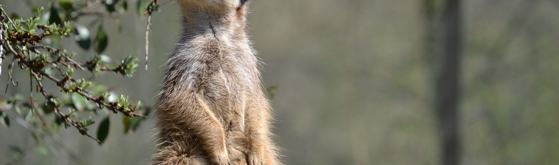 Ausflug NRW mit Kind – Tierpark Hamm