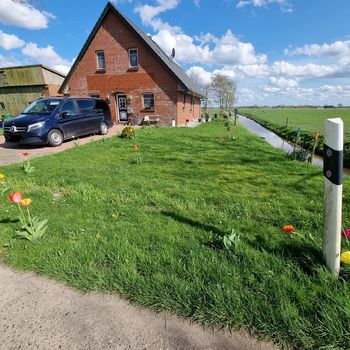 freistehendes Ferienhaus bis zu 6 Pers. und 2 Hunde