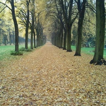 Stadtrundfahrt Potsdam mit Hund