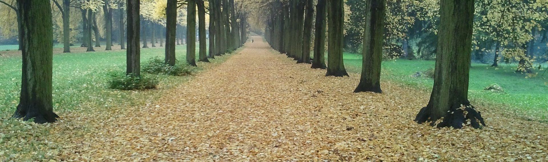 Stadtrundfahrt Potsdam mit Hund