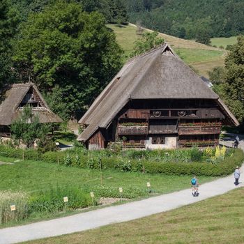 Schwarzwald Ausflug