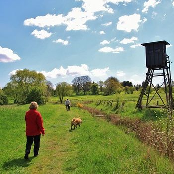 Geocaching – Schatzsuche mit Kind & Hund Deutschland