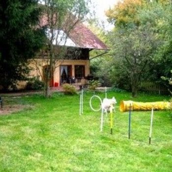 Ferienwohnung mit Hundeschule am Harz