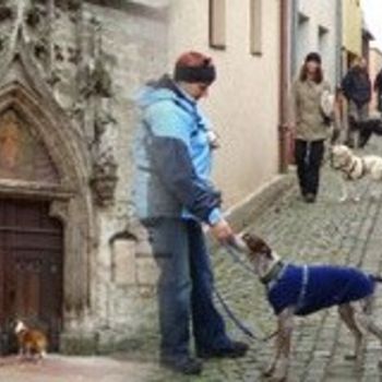 Gruppenreisen mit Hund – ars canis