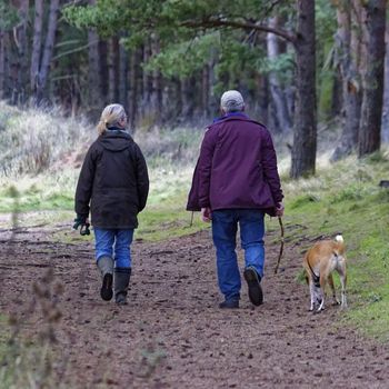 Wildpark im Spessart mit Hund