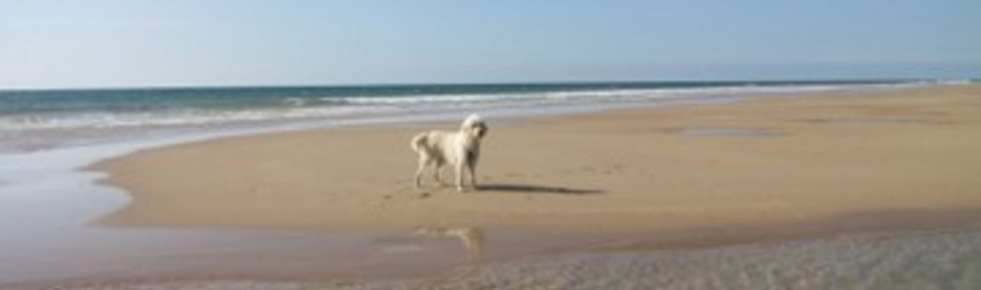 Hundestrand Baabe auf Rügen