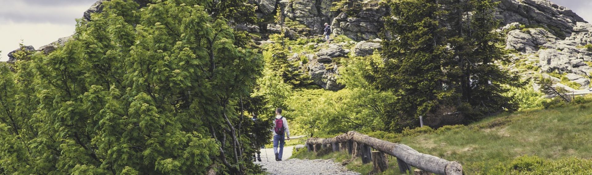 Urlaub Bayerischer Wald mit Hund