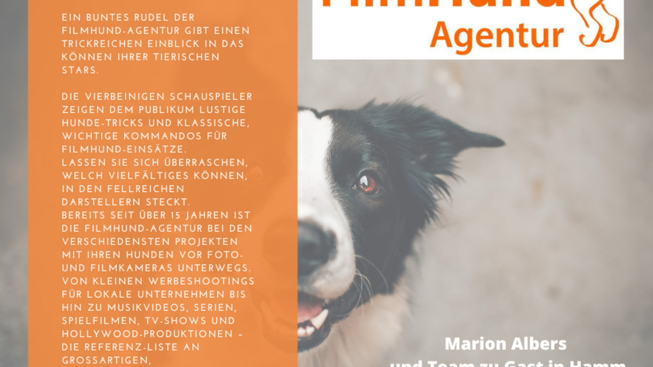 Hammer Hundesommer 2022 mit Kreativmarkt