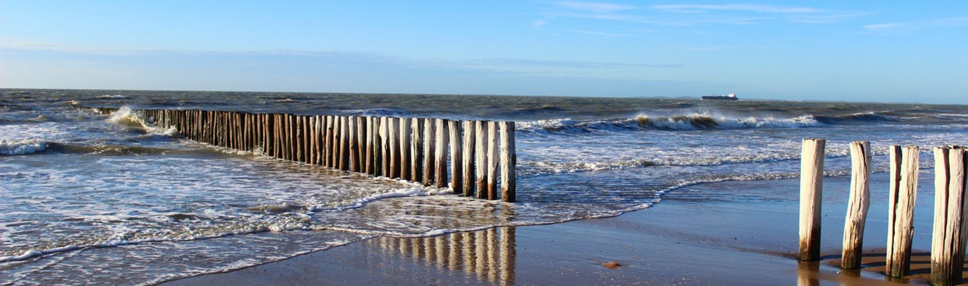 Ferien Holland Urlaub mit Hund