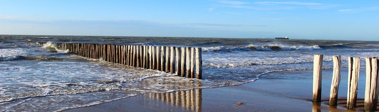 Holland Hundeurlaub am Meer