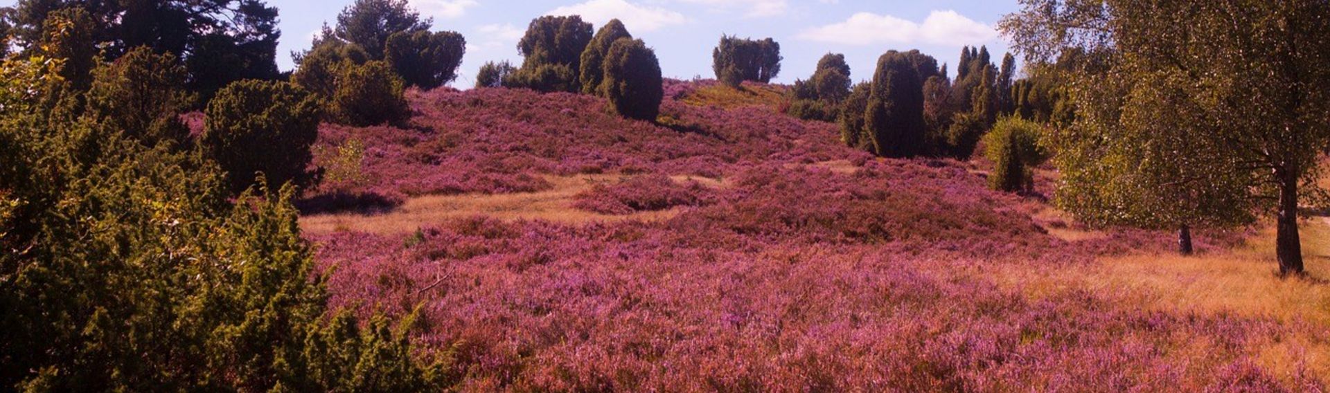 Campingplatz Lüneburger Heide