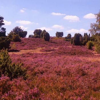 Campingplatz Lüneburger Heide