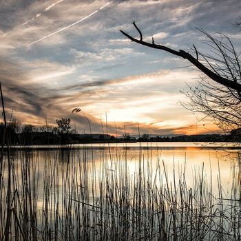 Campingplatz Murner See