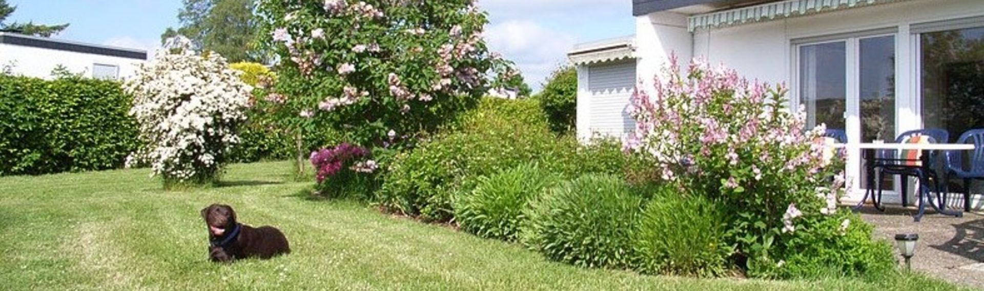 Ferienhaus mit Hund eingezäunter Garten