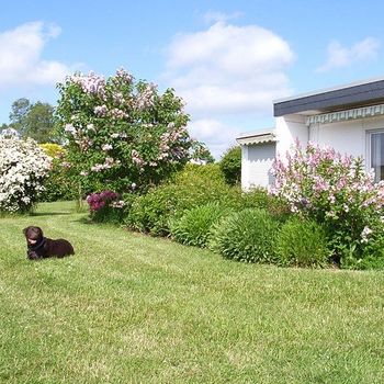 Ferienhaus mit Hund eingezäunter Garten