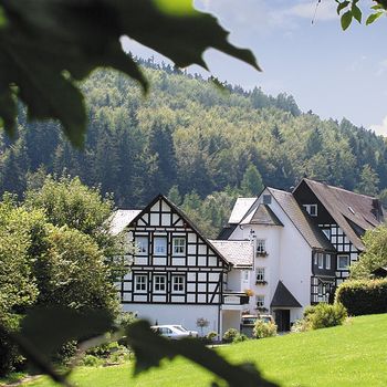 Hotel Sauerland mit Hund