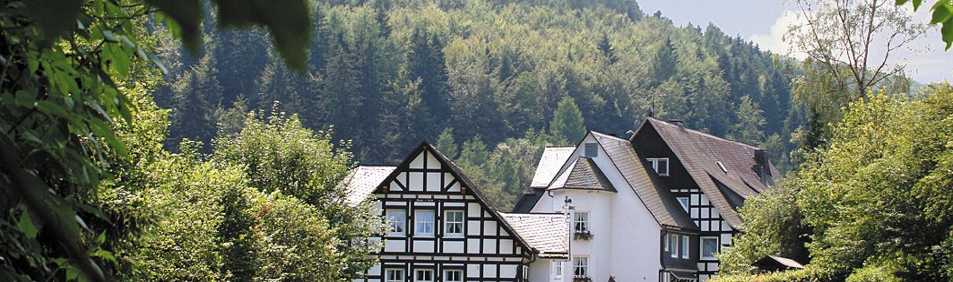 Hotel Sauerland mit Hund