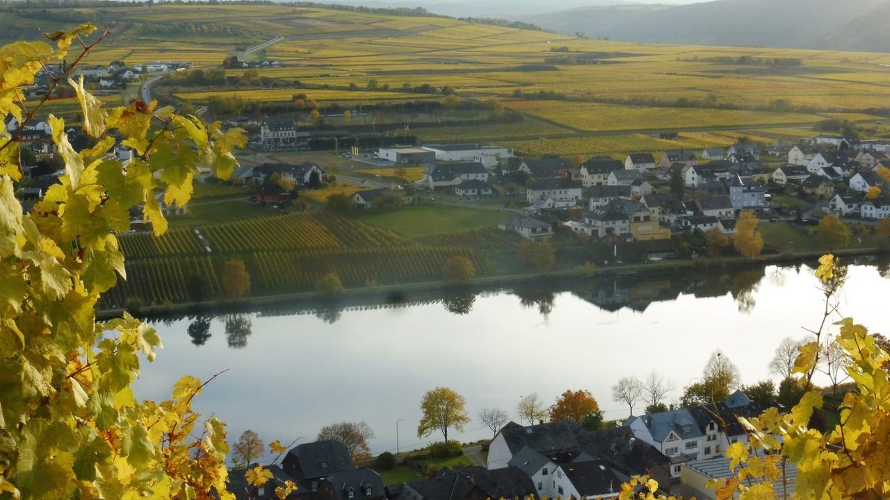 Urlaub mit Hund an der Mosel
