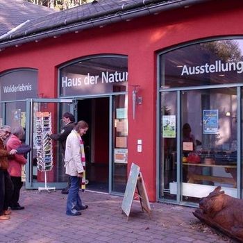 Ausflug Harz mit Hund