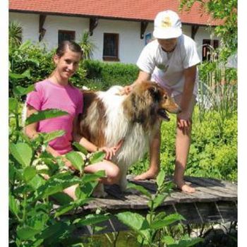 Zelten mit Hund am Hahnenkamm – Campingplatz Hasenmühle