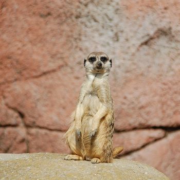 Zoo Erfurt das Ziel in Thüringen